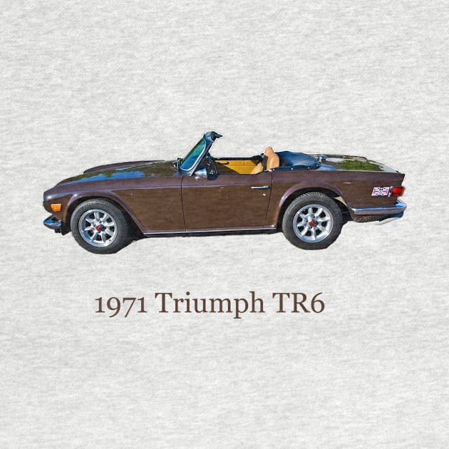 Triumph TR6 by mtbearded1